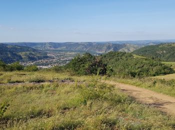 Excursión Marcha nórdica Tournon-sur-Rhône - Boyon - Photo