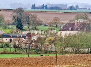 Tour Wandern Montigny-Lencoup - Boucle Montigny Lencoup - Donnemarie 30 km - Photo