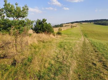 Trail Walking Bouxières-sous-Froidmont - Arry - Photo