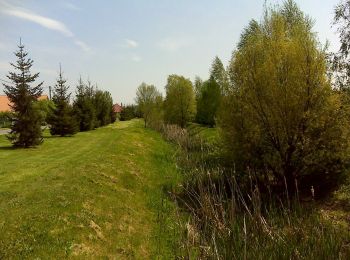 Trail On foot Csővár - P● (Mária-forrás) - Photo