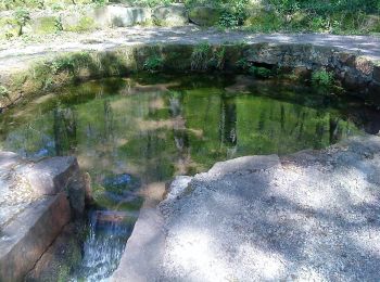 Excursión A pie Wiesener Forst - Ortswanderweg Kleinkahl 1 - Photo