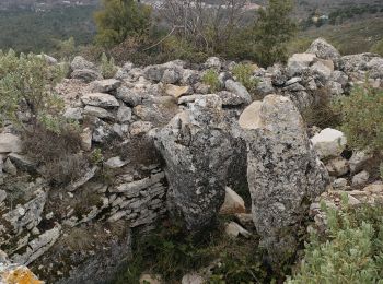 Percorso Marcia Spéracèdes - cabris croix et dolmen  - Photo