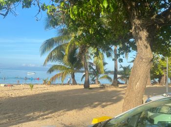 Tour Pfad Sainte-Anne - Plage de Ste Anne  - Photo