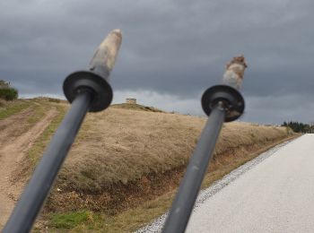 Trail Walking Aurec-sur-Loire - les balcons de Malvalette - Photo