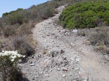 Trail Walking Cadaqués - Gr92-04 - Photo