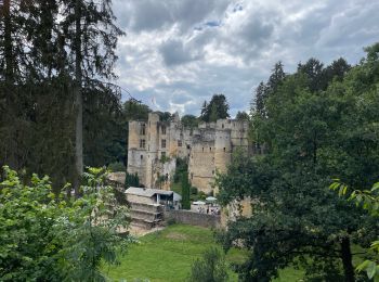 Tocht Stappen Echternach - Echternach-Beaufort - Photo