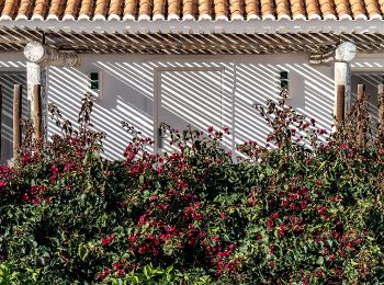 Percorso A piedi Moncarapacho e Fuseta - Caminhos Romanos e Cerro da Cabeça - Photo