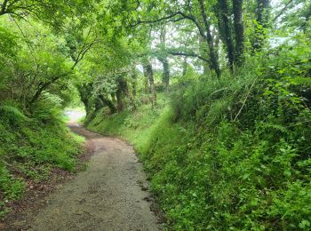 Tocht Stappen Triacastela - Triacastela  Sarria - Photo