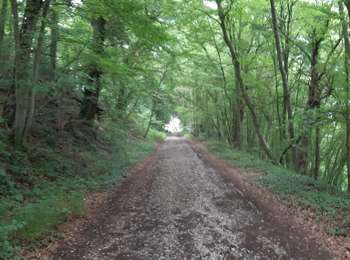 Percorso Marcia Huy - Vallée de la Solière - Photo