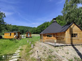 Tour Wandern Osenbach - Osenbaeb GB - Photo