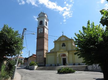 Tour Zu Fuß Cavallirio - Sentiero Novara tappa 18 - Photo