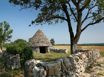 Randonnée V.T.T. Lalbenque - AU PAYS DU DIAMANT NOIR - DECOUVERTE DU PAYS DES TRUFFES - Photo