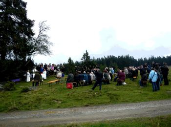 Percorso A piedi Deutschlandsberg - St. Oswalder Rundweg 1 - Photo