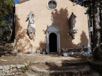 Tour Wandern La Roquebrussanne - la montagne de la Loube - Photo