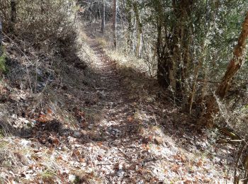 Trail Walking Marignac-en-Diois - 26 marignac en diois/desse/but richaude - Photo