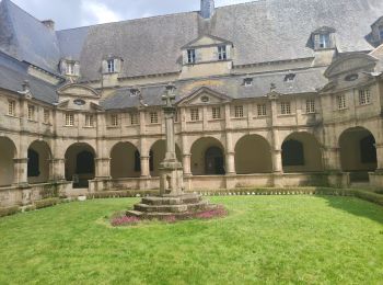 Tour Wandern Plescop - st Anne Auray - Photo