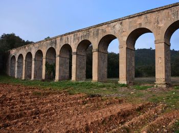 Trail Walking Vidauban - Vidauban - Château d'Astros - Chapelle St Lambert - Photo