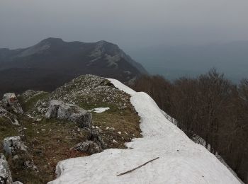 Trail On foot Petina - (SI S06) Casone Aresta - Sicignano degli Alburni - Photo