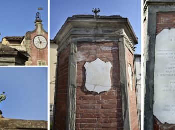 Percorso A piedi Montespertoli - Dolce campagna, antiche mura 3 - Photo