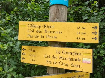 Tour Wandern Beauregard-Baret - pas de la Pierre pas de l'Aulagnier  - Photo