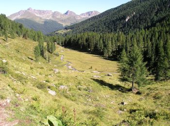 Tocht Te voet Cinte Tesino - Sentiero di Val D'Inferno e di Val Vendrame - Photo
