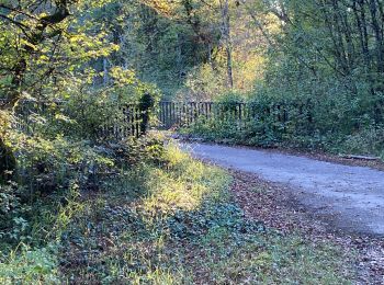 Trail Walking Noroy-le-Bourg - Noroy - le tacot- La Croix mercier -noroy - Photo