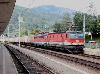 Tocht Te voet Mürzzuschlag - Steirischer Semmering Bahnwanderweg - Photo