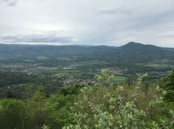 Tocht Stappen Neubois - Frankenbourg. Rocher dû coucou  - Photo