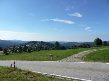 Percorso A piedi Mauther Forst - Birkhuhn - Photo