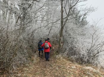 Trail Walking Martailly-lès-Brancion - Martialy le 29-01-2022 - Photo