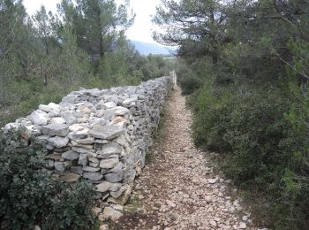 Tocht Stappen Lagnes - PF-Lagnes-Mur de la peste - Reco - Photo