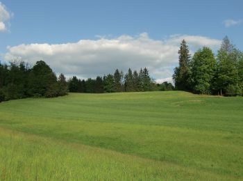 Randonnée A pied Presseck - Mühlenweg - Photo