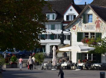 Tocht Te voet Stäfa - Stäfa Schiff - Oetwil - Photo