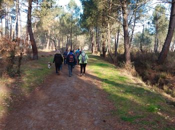 Randonnée Marche Pessac - Peugues  - Photo