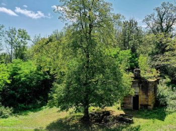 Tour Zu Fuß Blieskastel - DE-Libelle - Photo