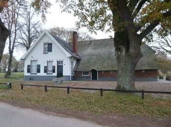 Percorso A piedi Hellendoorn - WNW Twente - Sprengenberg - oranje route - Photo