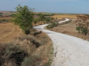 Trail Walking Cervatos de la Cueza - San Nicolas  - Photo