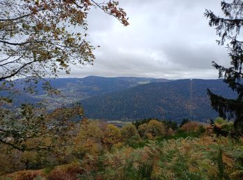 Randonnée Marche Saulxures-sur-Moselotte - Circuit Zéfeut - haut du comte - Photo