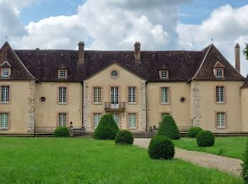 Tour Wandern Nailly - Nailly 240519 - Photo