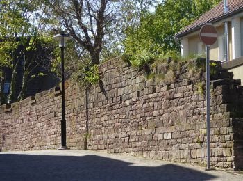 Randonnée A pied Stadtoldendorf - ST2 Durchs Fahrenbachtal zum Klostergut - Photo