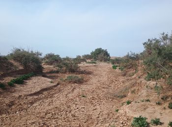 Randonnée Marche M'Hamid El Ghizlane - Parcours du matin Campement 4 - Photo