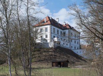 Trail On foot Kremsmünster - Schwarzholzweg - Wanderweg 41 - Photo