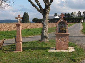 Percorso A piedi Landscheid - Wanderweg 50. Breitengrad - Photo