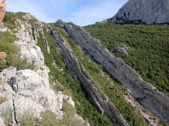 Percorso Marcia Plan-d'Aups-Sainte-Baume - Tour Cauvin, Dent de Roque Forcade, grotte de la Grande Baume - Photo