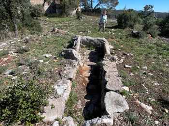 Tour sport Cabasse - Cabasse le dolmen - Photo