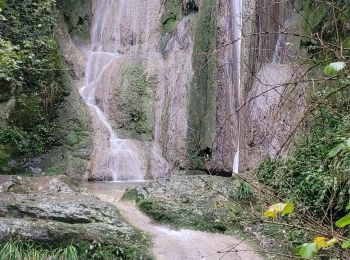 Tour Wandern Ceyzériat - ceyzeriat - Photo