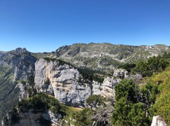 Randonnée Marche Plateau-des-Petites-Roches - Circuit  Tour Isabelle. L’aulp du Seuil  col de Marcieu - Photo