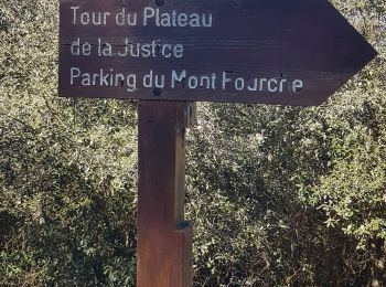 Tour Wandern Nizza - Vinaigrier Mont Bastide - Photo