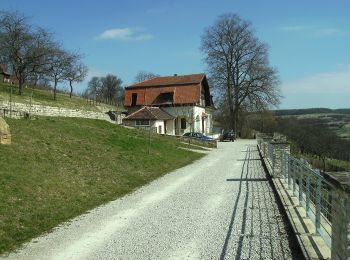 Randonnée A pied Mandelbachtal - Lochfeld-Tour - Photo