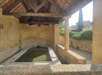 Randonnée Marche Vers-Pont-du-Gard - VERS les carrières - Photo